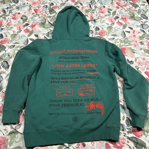 STUSSY Teal Hoodie - Picture 1 of 8